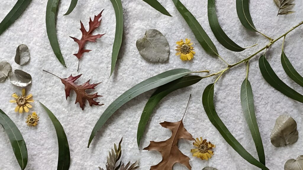 Hojas naturales de eucalipto y otoño utilizadas en ecoprint sobre fondo claro