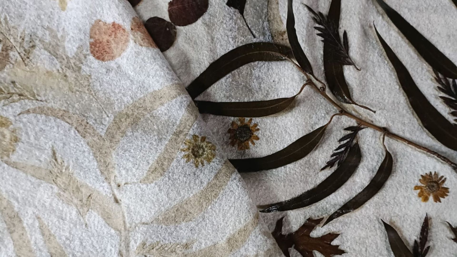 Tela blanca doblada con huellas vegetales de ecoprint, rodeada de hojas alargadas y flores secas.